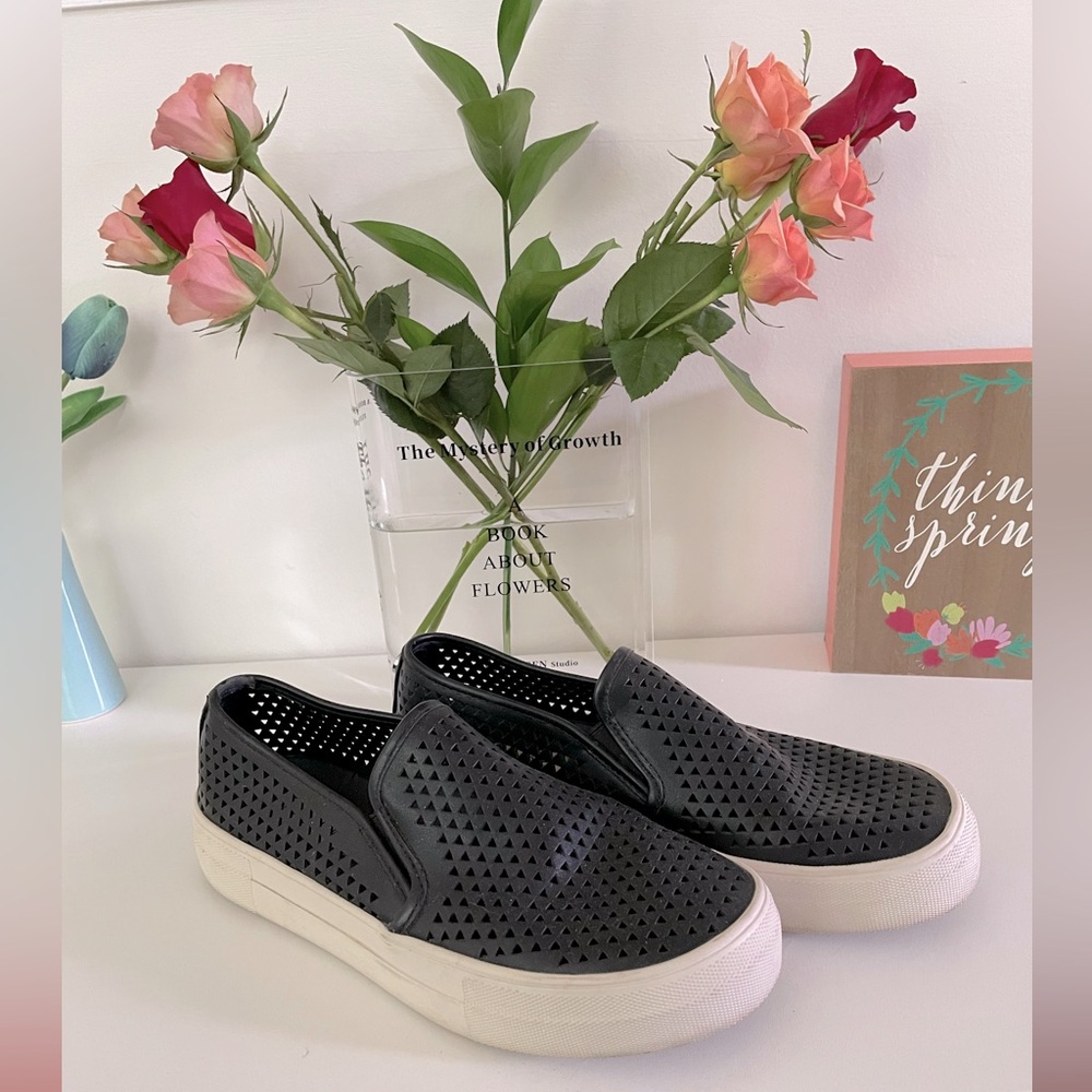 Steve Madden Sneakers